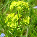 0905F 12 Stendal-Hamburg : elbe